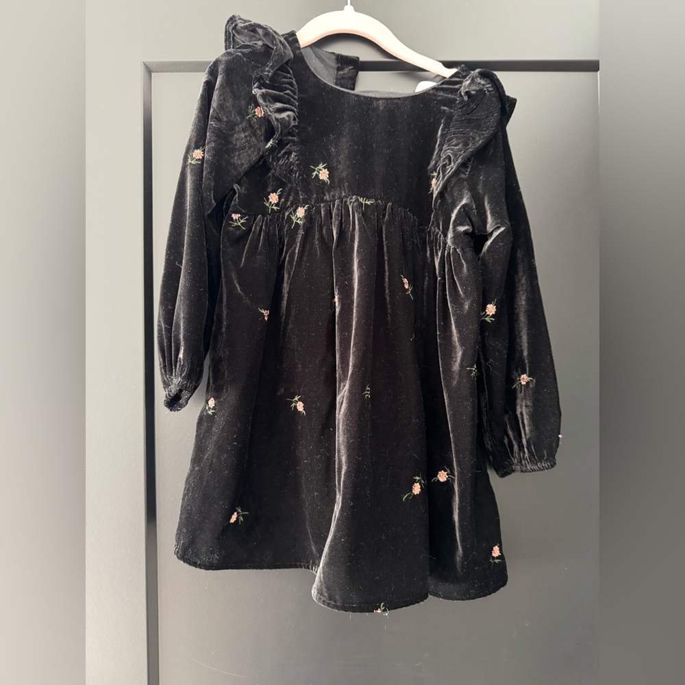Zara Black Velvet dress with embroidery